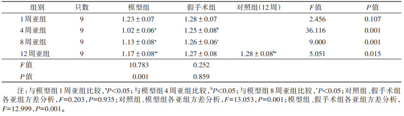 点击查看表格内容