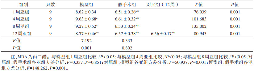 点击查看表格内容