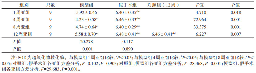 点击查看表格内容